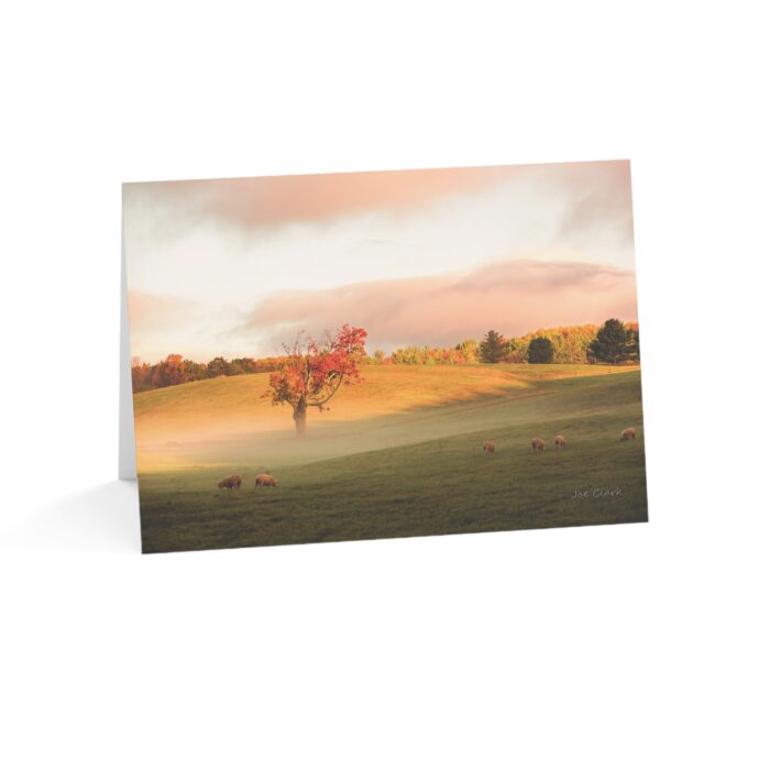 Tunnel Pasture Greeting Cards (1, 10, 30, and 50pcs) - Image 6