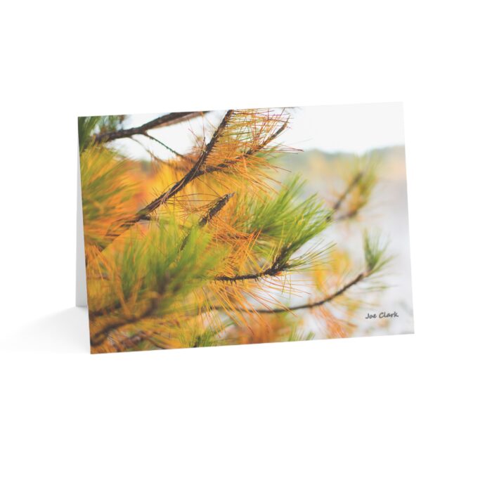 Golden Pine Greeting Cards (1, 10, 30, and 50pcs) - Image 6