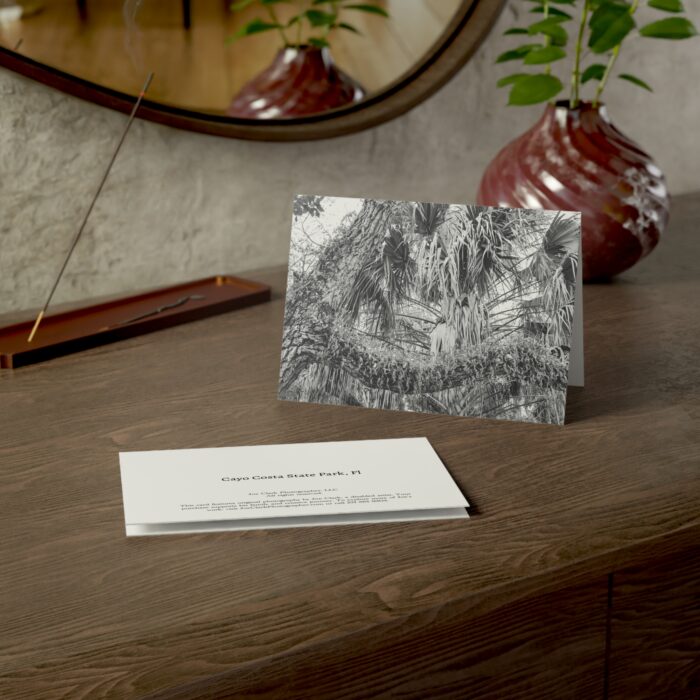 Along the Tram Road Greeting Cards (1, 10, 30, and 50pcs) - Image 15