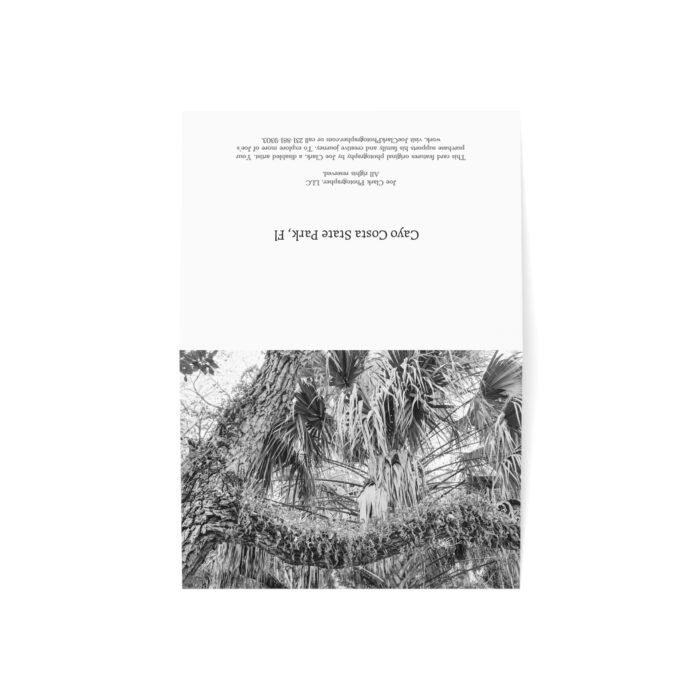 Along the Tram Road Greeting Cards (1, 10, 30, and 50pcs) - Image 13