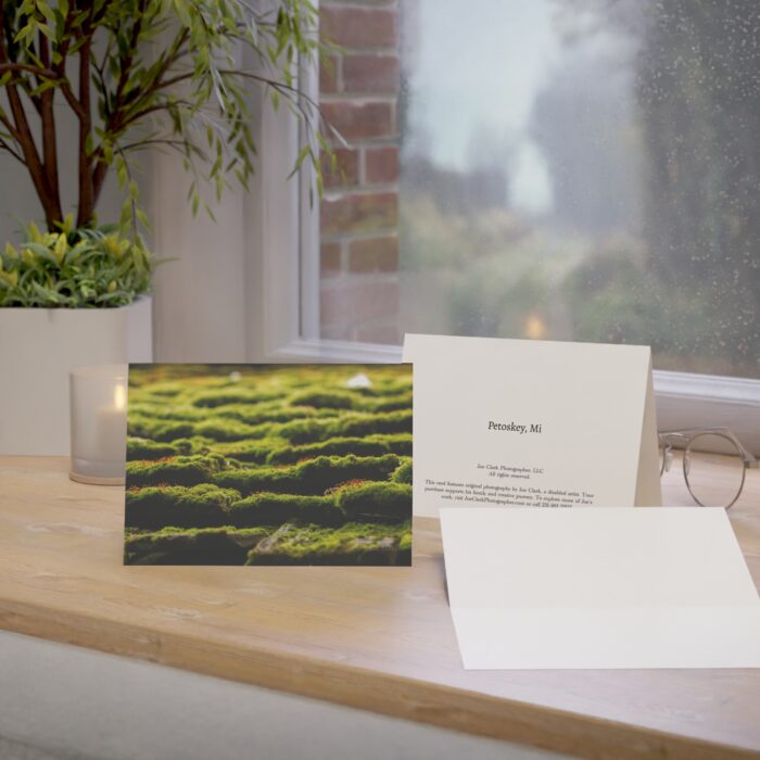 Chandler's Moss Greeting Cards (1, 10, 30, and 50pcs) - Image 9