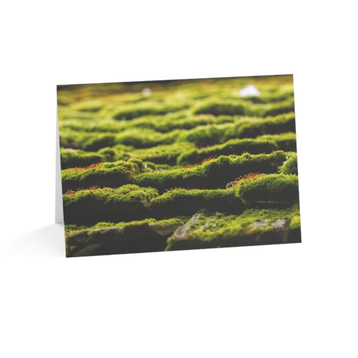 Chandler's Moss Greeting Cards (1, 10, 30, and 50pcs) - Image 6