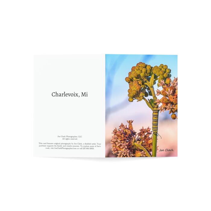 Monarch Caterpillar Greeting Cards (1, 10, 30, and 50pcs) - Image 9