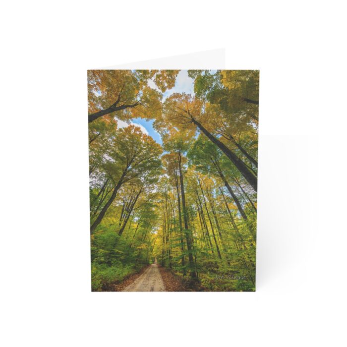 Long Way Home Greeting Cards (1, 10, 30, and 50pcs) - Image 4