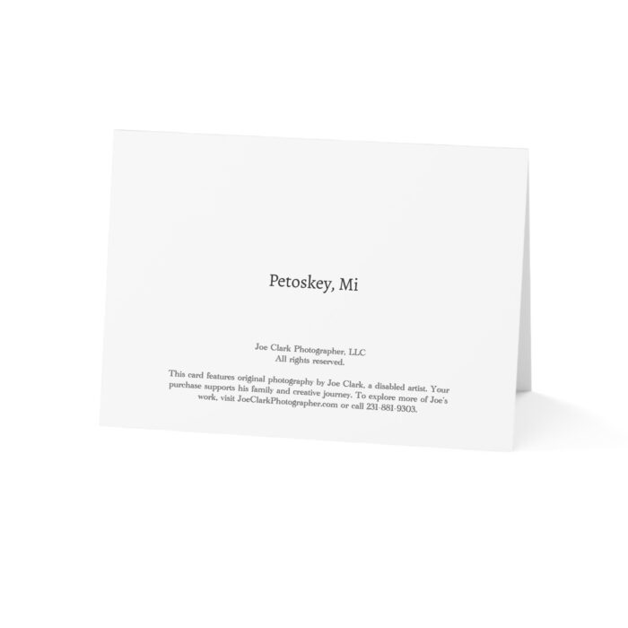 Hemingway's Park Greeting Cards (1, 10, 30, and 50pcs) - Image 7