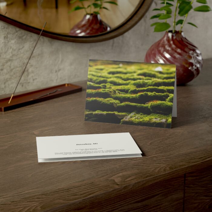 Chandler's Moss Greeting Cards (1, 10, 30, and 50pcs) - Image 15