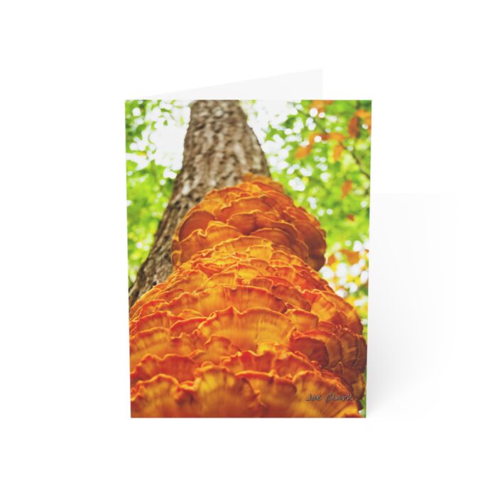 Skyward Greeting Cards (1, 10, 30, and 50pcs) - Image 4