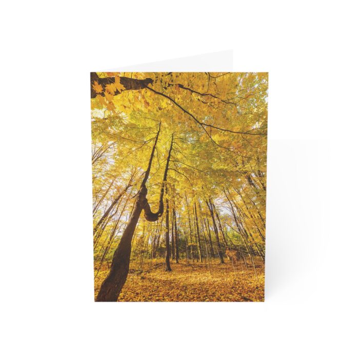 Golden Majesty Greeting Cards (1, 10, 30, and 50pcs) - Image 4