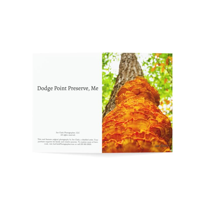 Skyward Greeting Cards (1, 10, 30, and 50pcs) - Image 6
