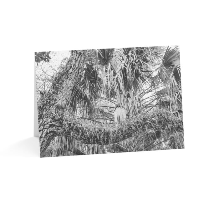 Along the Tram Road Greeting Cards (1, 10, 30, and 50pcs) - Image 6