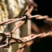 Barbed Wire 1