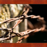 Barbed Wire 1 - Image 4