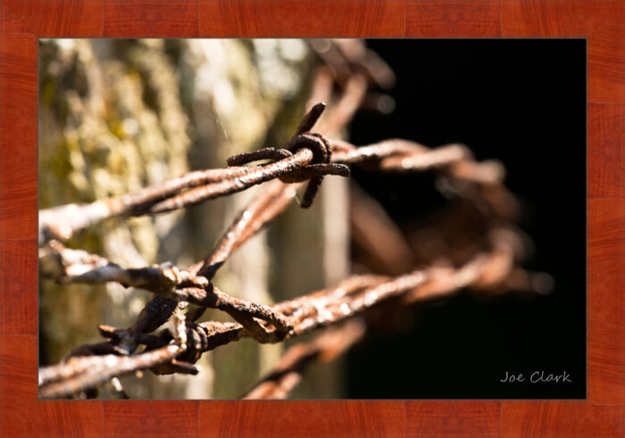 Barbed Wire 1 - Image 4