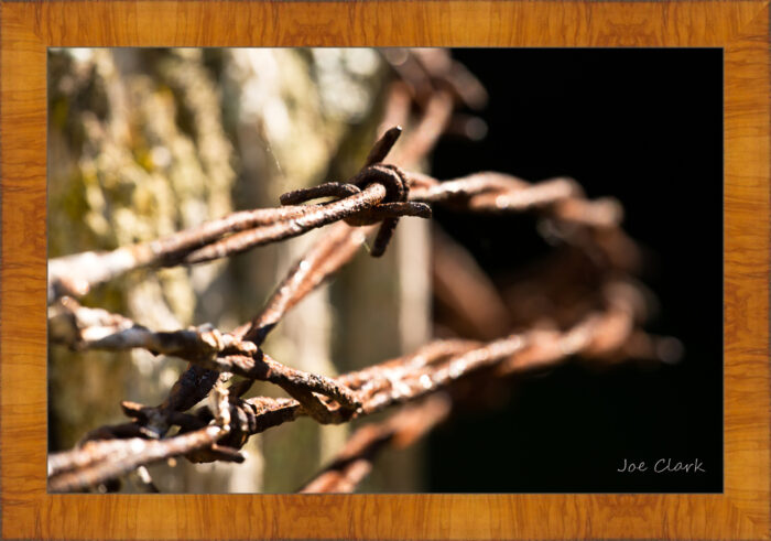 Barbed Wire 1 - Image 5