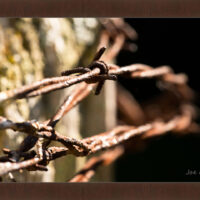 Barbed Wire 1 - Image 6