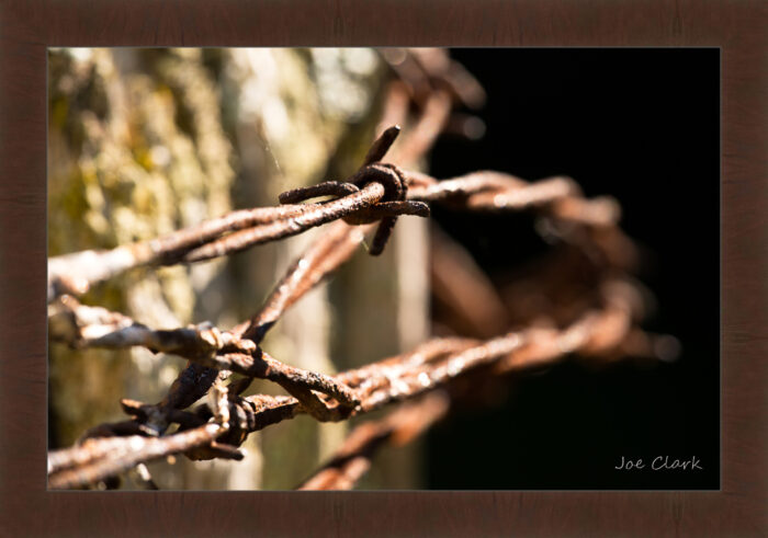 Barbed Wire 1 - Image 6