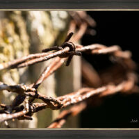 Barbed Wire 1 - Image 2