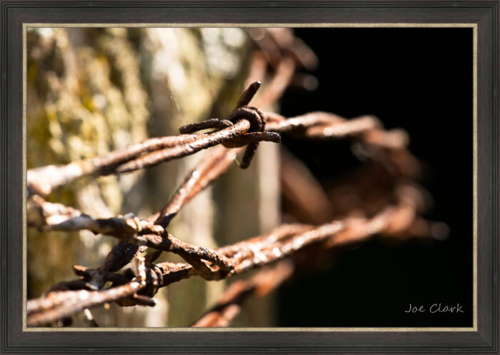 Barbed Wire 1 - Image 2