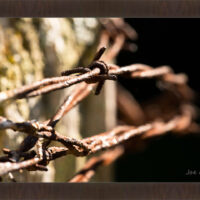 Barbed Wire 1 - Image 3