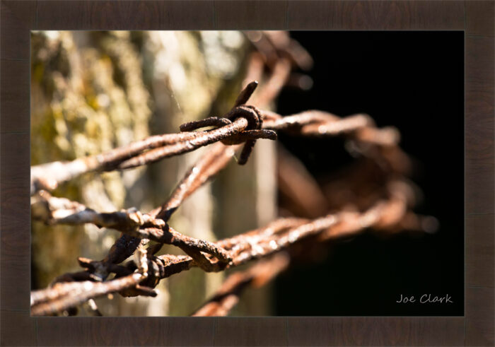 Barbed Wire 1 - Image 3