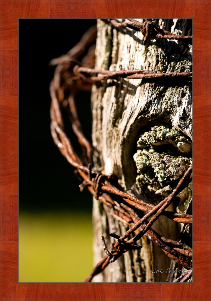 Barbed Wire 2 - Image 4