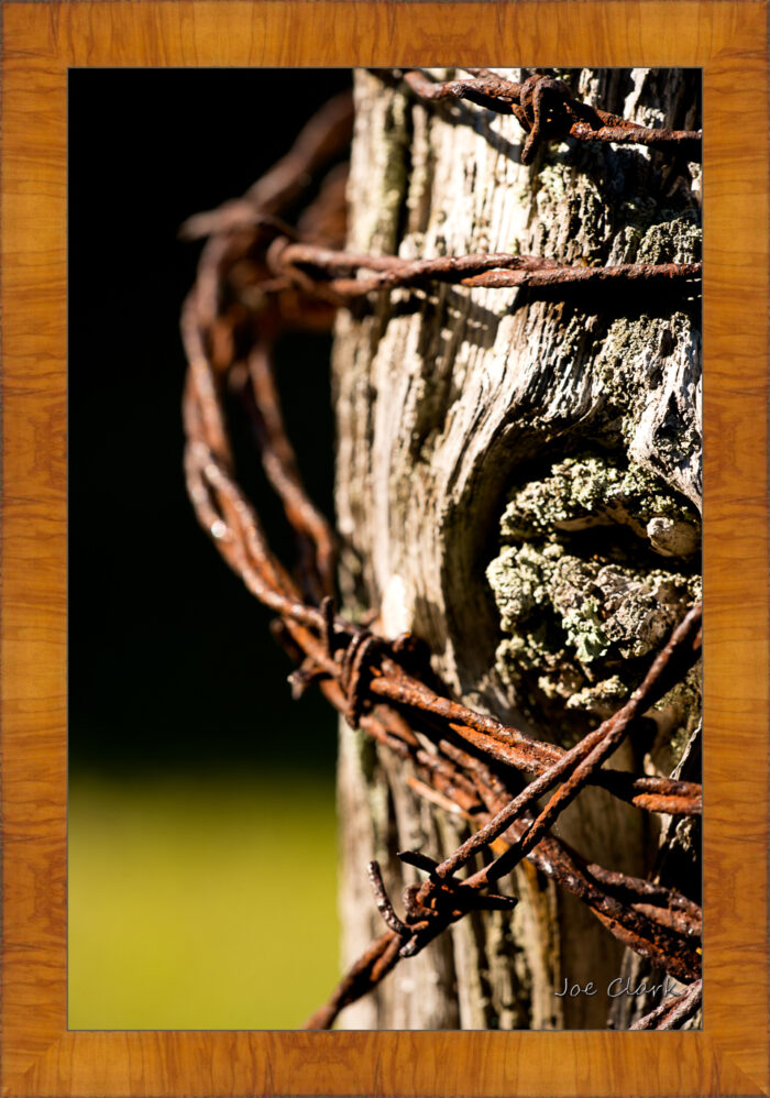 Barbed Wire 2 - Image 5