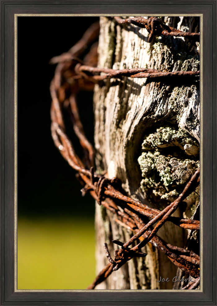 Barbed Wire 2 - Image 2