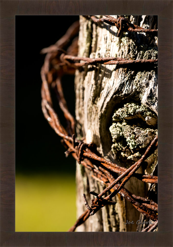 Barbed Wire 2 - Image 3