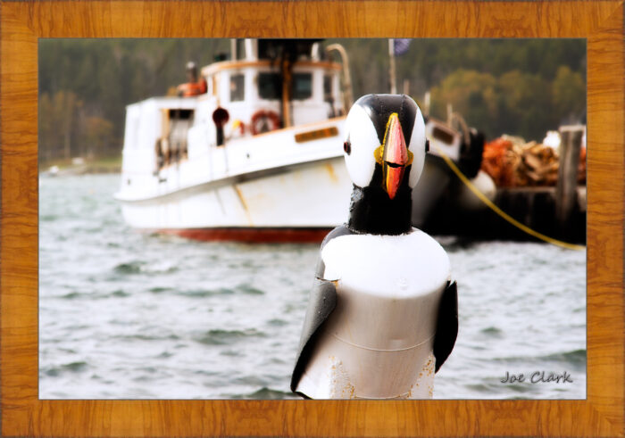 Bird Bow - Image 5
