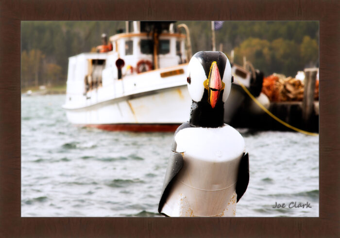 Bird Bow - Image 6