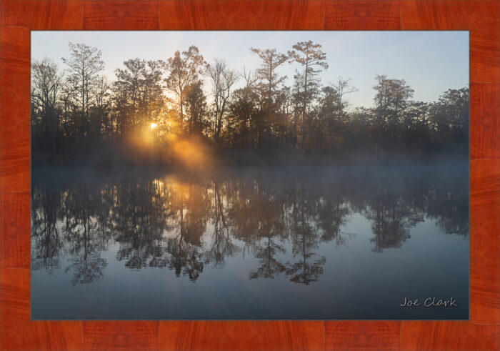 Brackish Sunrise - Image 4