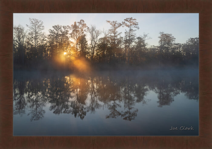 Brackish Sunrise - Image 6