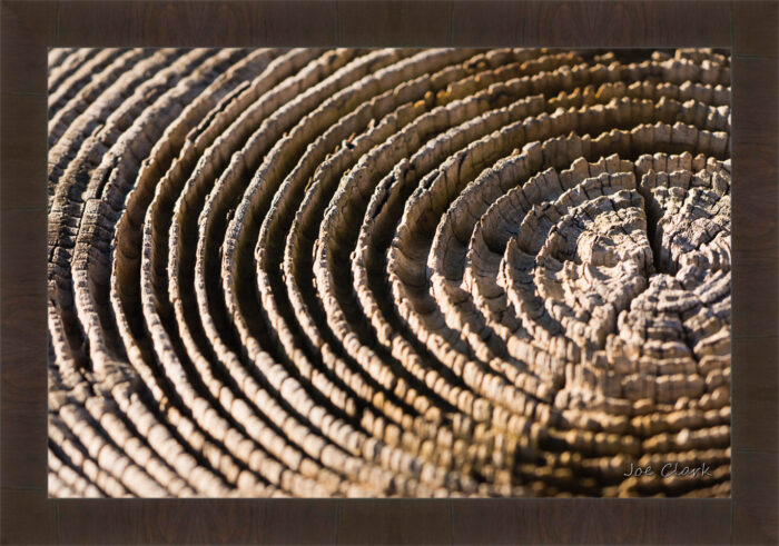 Dock Post - Image 3