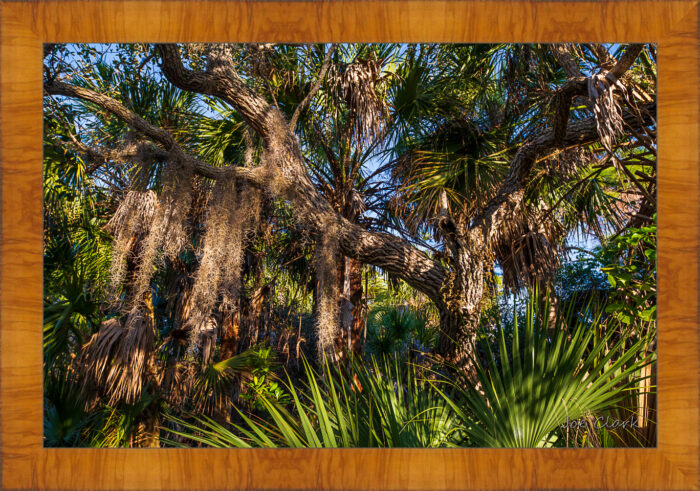 Drapery - Image 5