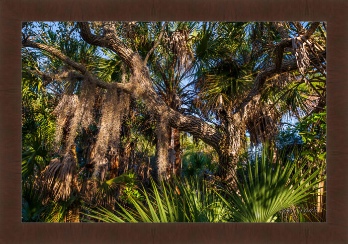Drapery - Image 6