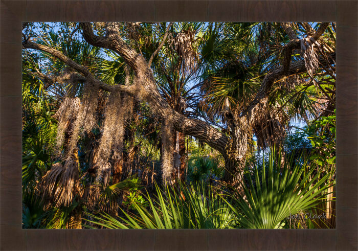 Drapery - Image 3