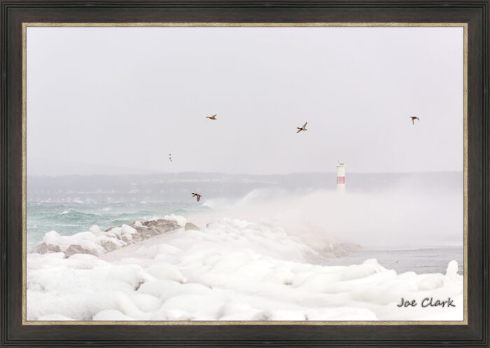 Duck Storm - Image 2
