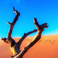 Dune Climb 1