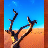 Dune Climb 1 - Image 4