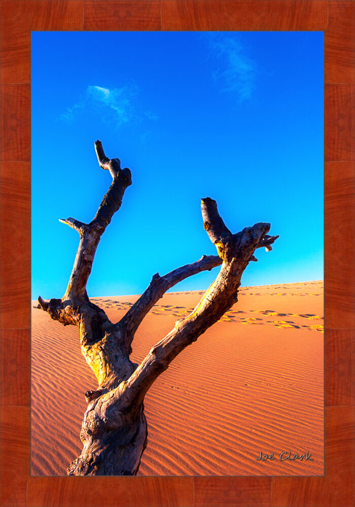 Dune Climb 1 - Image 4