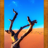Dune Climb 1 - Image 5