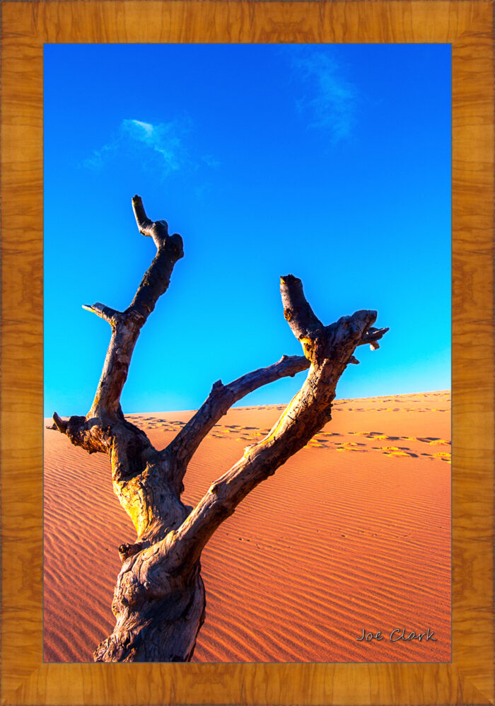Dune Climb 1 - Image 5
