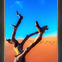 Dune Climb 1 - Image 2