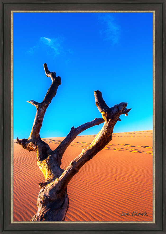 Dune Climb 1 - Image 2