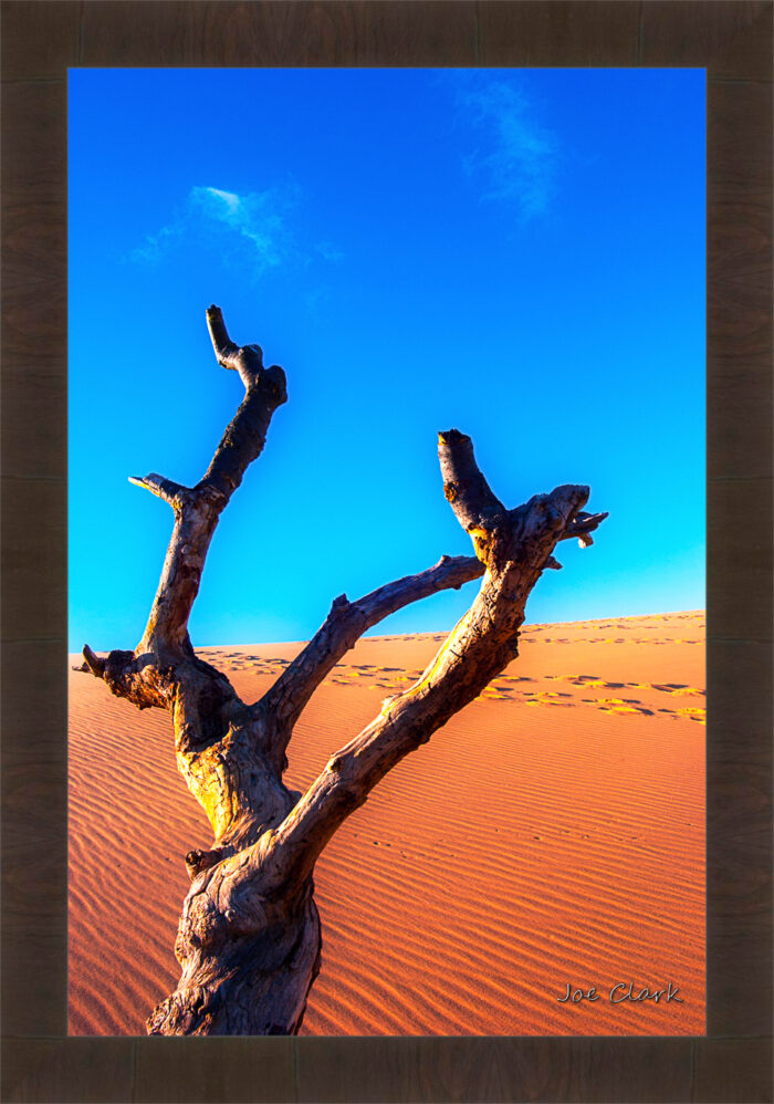 Dune Climb 1 - Image 3