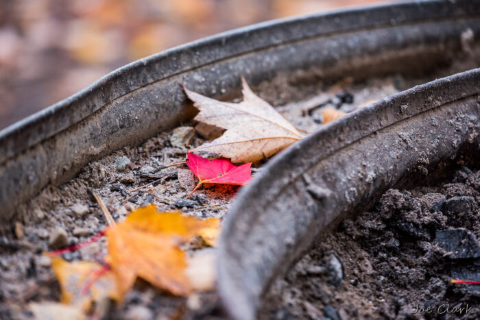 Fall Fire Pit