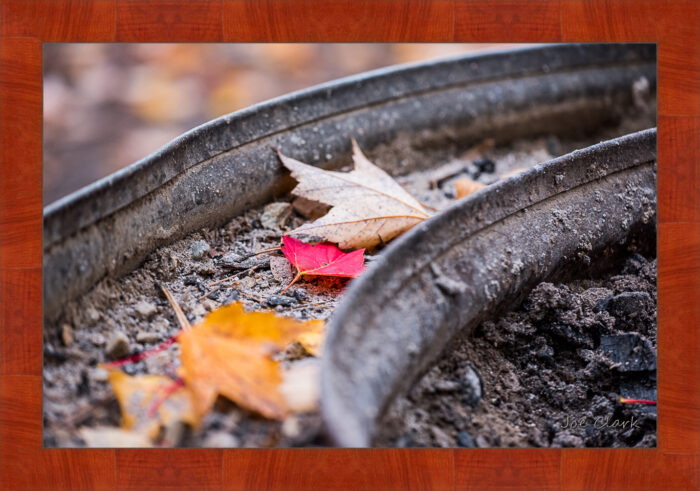 Fall Fire Pit - Image 3