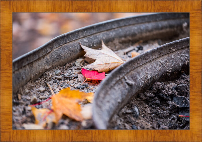 Fall Fire Pit - Image 4