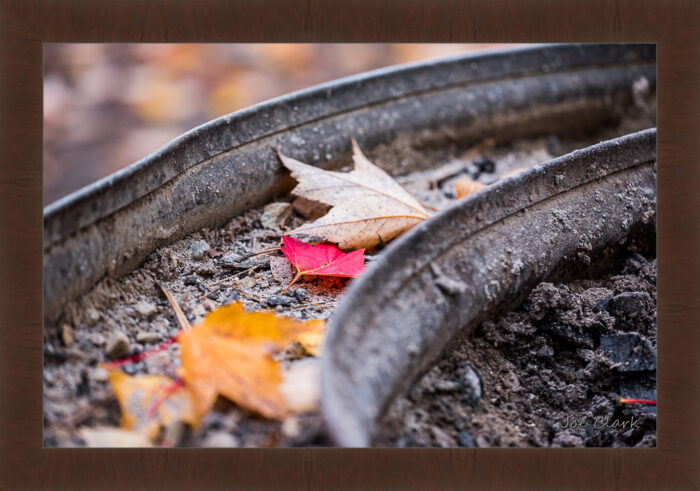 Fall Fire Pit - Image 5