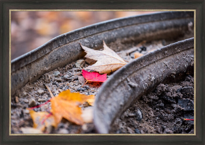 Fall Fire Pit - Image 2